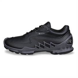 Mød Ecco BIOM AEX GTX Leather Men, black