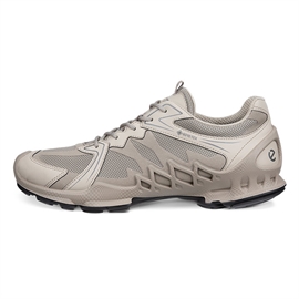Mød Ecco BIOM AEX GTX Tex Men, moon rock
