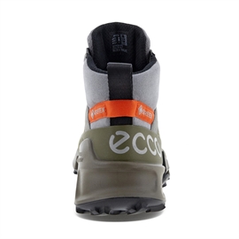 Ecco BIOM 2.1 Mountain GTX Men, tarmac/steel