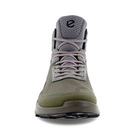 Ecco BIOM 2.1 Mountain GTX Men, tarmac/steel