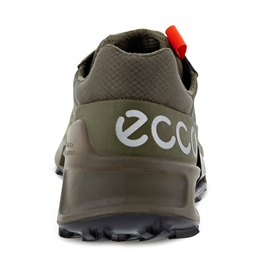 Ecco BIOM 2.1 Country GTX, tarmac/grape leaf