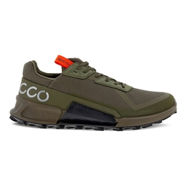 Ecco BIOM 2.1 Country GTX, tarmac/grape leaf