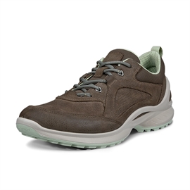 Ecco Biom Energi Women, dark clay