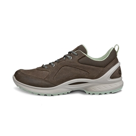 Ecco Biom Energi Women, dark clay