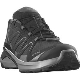 Salomon Examotion GTX Men, black/pewter/asph