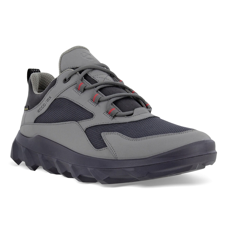 Billede af Ecco MX Low GTX Men, steel/magnet - Hverdagssko