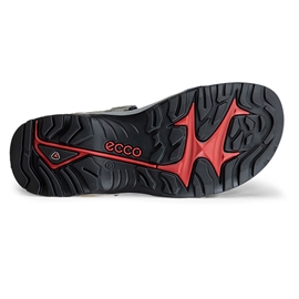 Ecco Offroad Yucatan Men sandal, multicolor