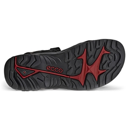 Ecco Offroad Yucatan Men sandal, black/mole