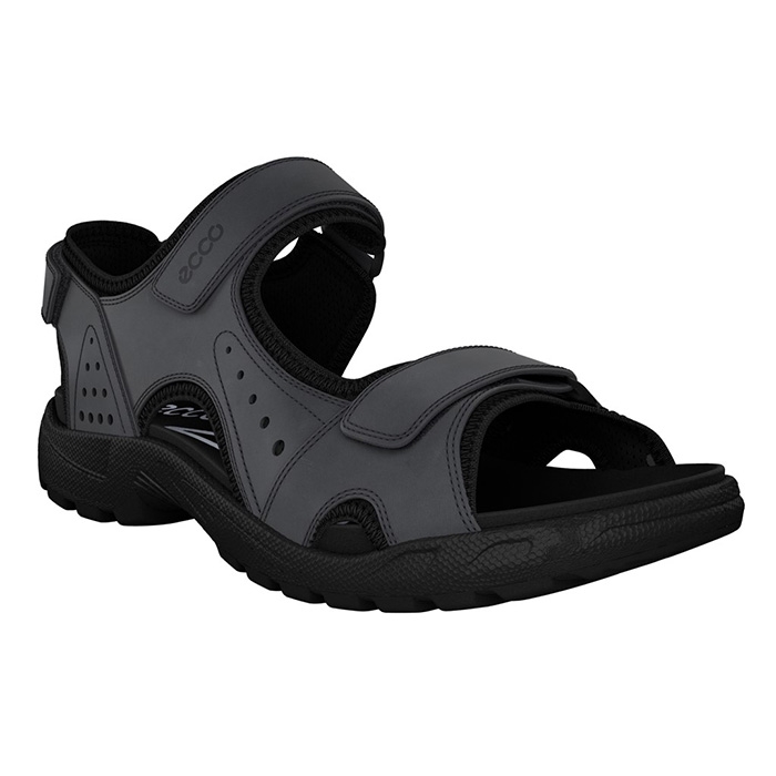 ål Grønthandler Bror Ecco Onroads sandal Men, magnet / black