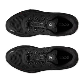 ECCO Receptor XP Women, black