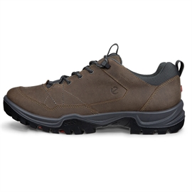 Ecco Receptor Trekk Leather Men, nutmeg brown