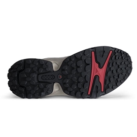 Ecco Receptor XP GTX Inv Fit Women, pure cashmere