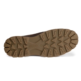 Ecco Rugged Track Waterproof Plain Toe Men, camel