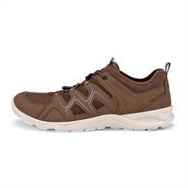 ECCO Terracruise LT Men, cocoa brown