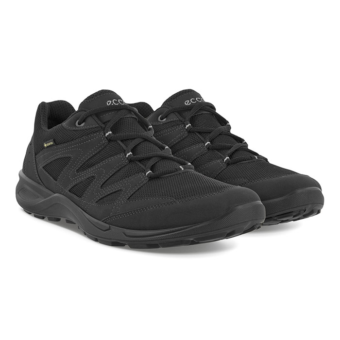 ECCO Terracruise LT GTX black