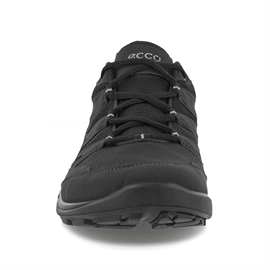 ECCO Terracruise LT GTX Men, black