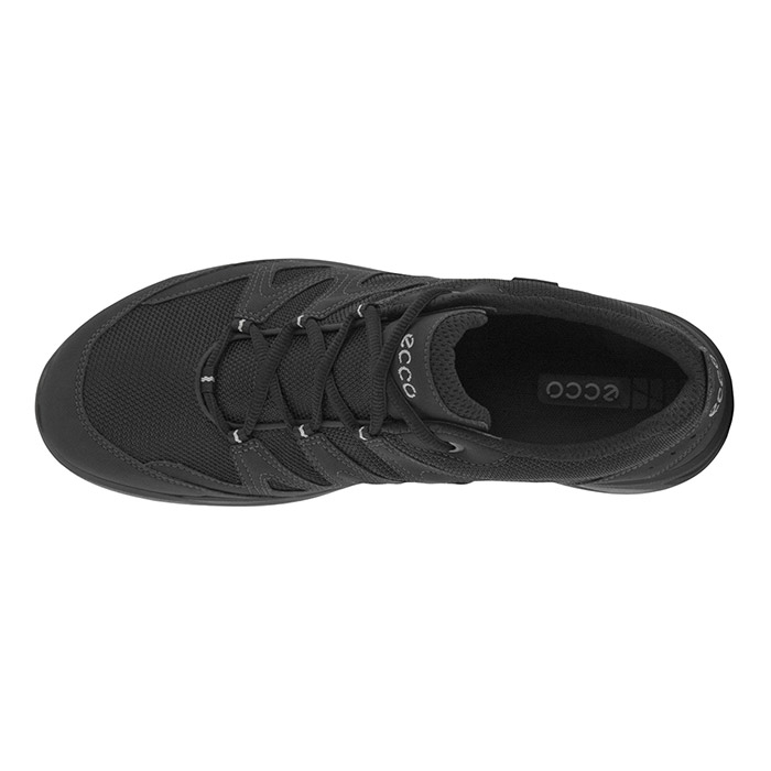 Microbe konkurrerende barmhjertighed ECCO Terracruise LT GTX Men, black