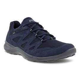 ECCO Terracruise LT GTX Men, night sky