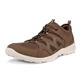 ECCO Terracruise LT Men, cocoa brown