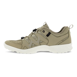 ECCO Terracruise LT Women, sage