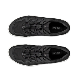 ECCO Terracruise LT Tex Woman, black
