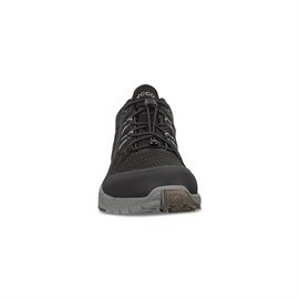 ECCO Terracruise II Men GTX, black/black