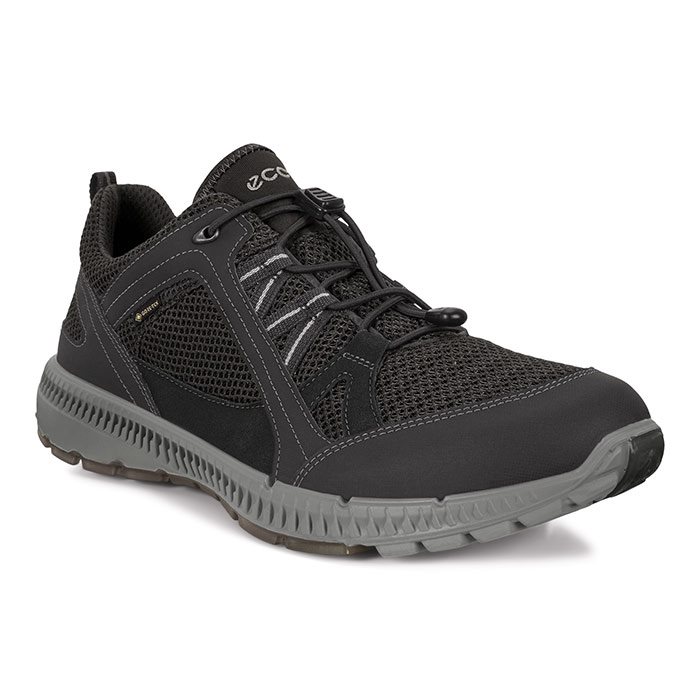 Skalk missil Bevægelig ECCO Terracruise II Men GTX, black/black