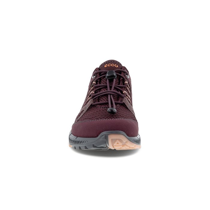 rulletrappe udslettelse Awaken ECCO Terracruise II Women GTX, fig/fig