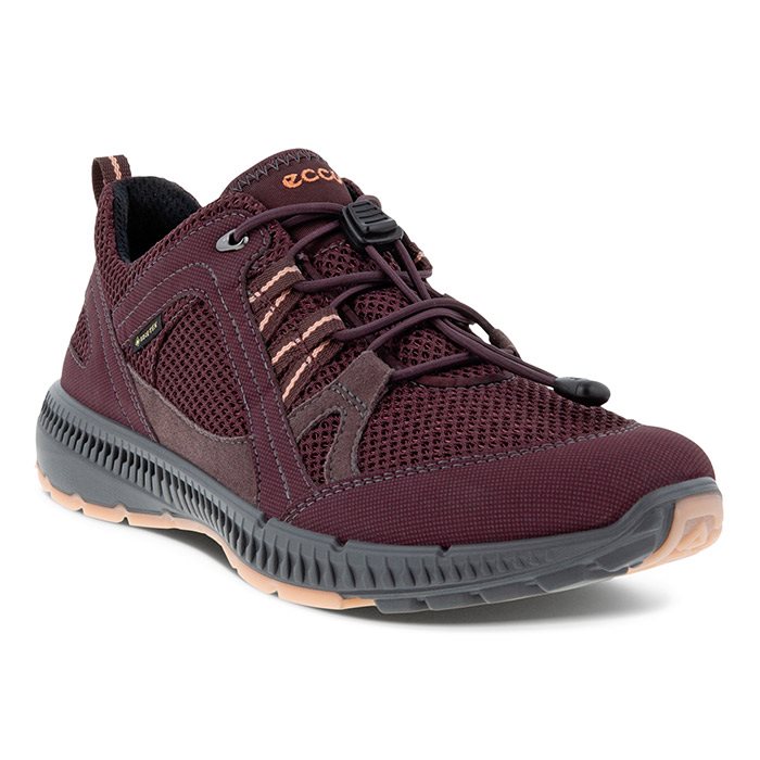 ECCO Terracruise II Women GTX, fig/fig