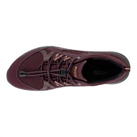 ECCO Terracruise II Women GTX, fig/fig