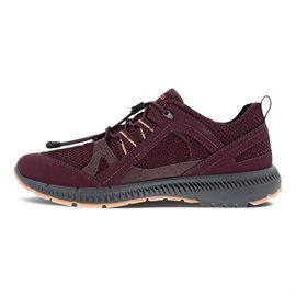 ECCO Terracruise II Women GTX, fig/fig