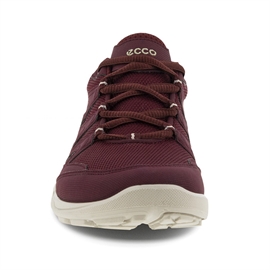 ECCO Terracruise LT GTX Women, morillo