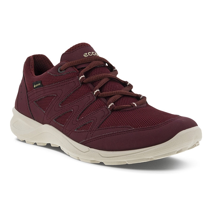 ECCO Terracruise LT GTX Women, morillo