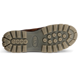Ecco Track 25 Low GTX Men, bison