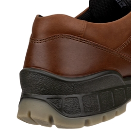 Ecco Track 25 Low GTX Men, bison