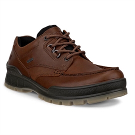 Ecco Track 25 Low GTX Men, bison