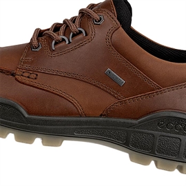 Ecco Track 25 Low GTX Men, bison