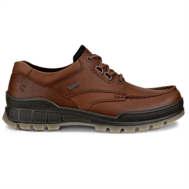 Ecco Track 25 Low GTX Men, bison