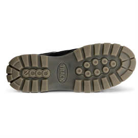 Ecco Track 25 Low GTX Men, black