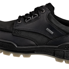Ecco Track 25 Low GTX Men, black