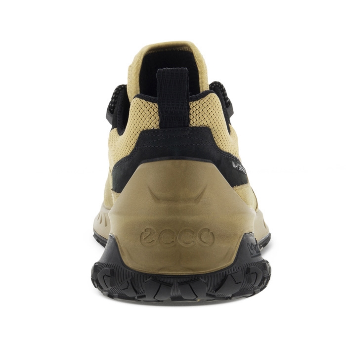 Ecco TRN Waterproof Men,