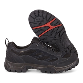 Ecco Xpedition III GTX Herre vandresko, sort