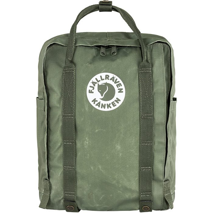 Fjällräven Tree-Kånken 16 L-lichen green