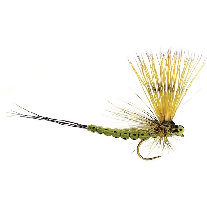 Mohican Mayfly olive, str. 12