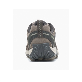 Merrell Accentor 3 Dame vandresko, brindle