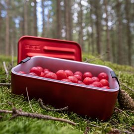 SIGG Metal Food Box Plus Small, red