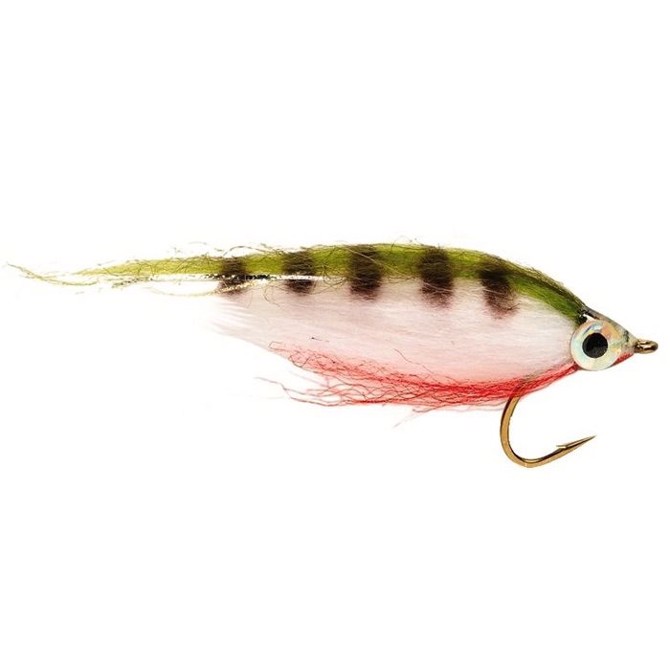 Minnow perch / aborre, streamerflue