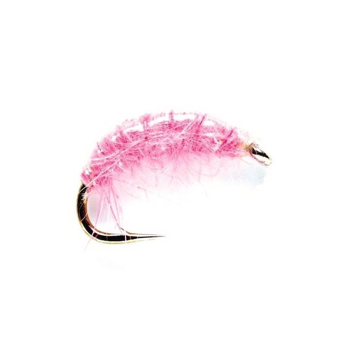 Pink shrimp, str. 12