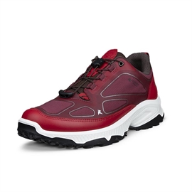 Ecco Receptor XP GTX Inv Fit Women, dark ruby