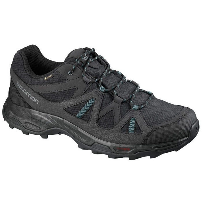 Salomon GTX